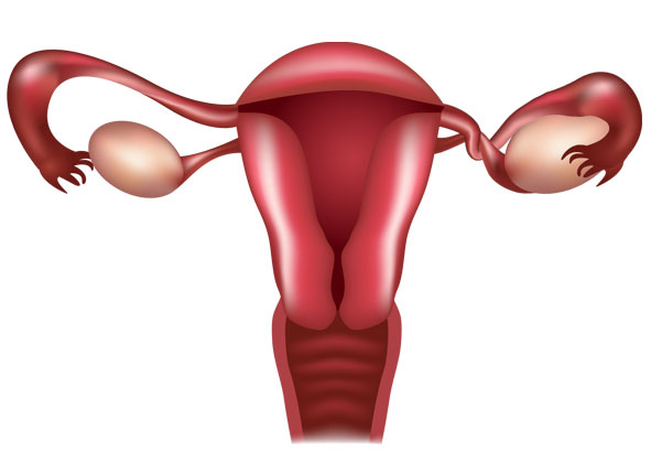 Ovarian Cystic Torsion